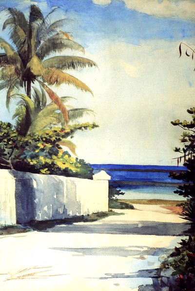 Road in Nassau, 1898-99 by Winslow Homer