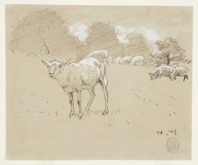 Sheep Grazing in a Field by Winslow Homer