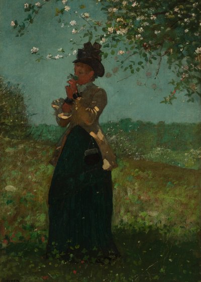The Yellow Jacket by Winslow Homer