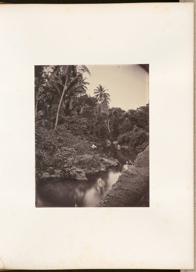 River at Kupang by Woodbury and Page