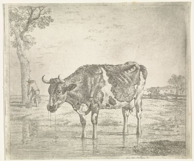 Drinking Cow by Wouter Johannes van Troostwijk