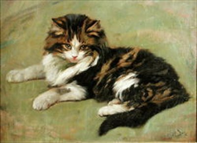 Study of a Cat by Wright Barker