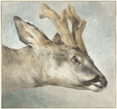 Head of a Roebuck by Wybrand Hendriks