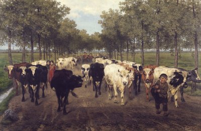 The Meersstraat in Ghent by Xavier de Cock