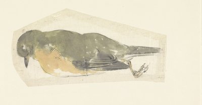 Dead Robin by Yamamoto Shinryo Baiitsu