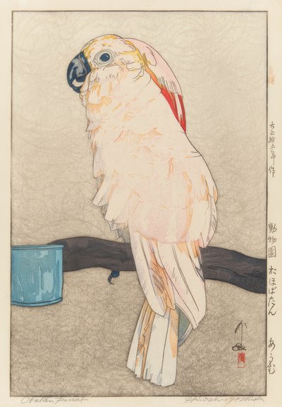 Obatan Parakeet by Yoshida Hiroshi