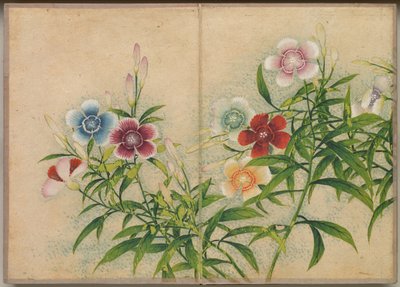 Desk Album: Flower and Bird Paintings (Pinks) by Zhang Ruoai