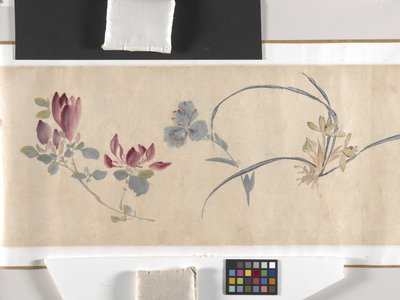 Coloured Flowers by Zhimian Zhou
