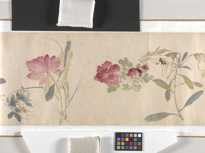 Coloured Flowers by Zhimian Zhou