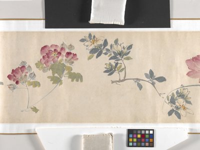 Coloured Flowers by Zhimian Zhou
