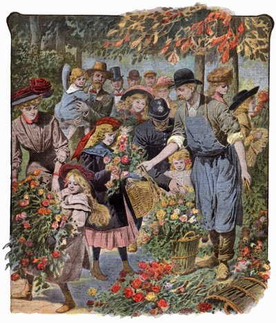 Flowers Distribution by . .