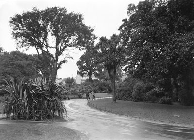 Gardens in Penzance, Cornwall by John Pardon