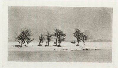 Gnarled Thorn Trees by Frederick (attr. to) Barnard