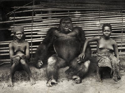 Gorilla by Hippolyte Lalaise Devéria