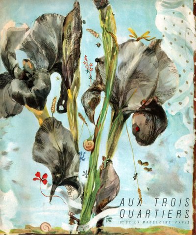 Iris (flower) by . .