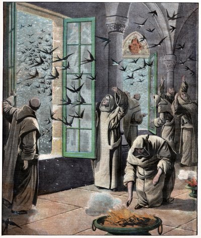 Rescuing Swallows by . .