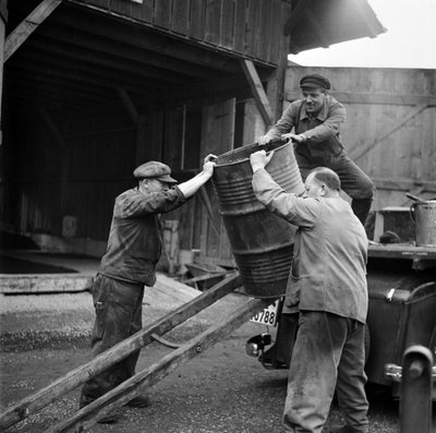Switzerland World War II Existing Substances by Frederick (attr. to) Barnard