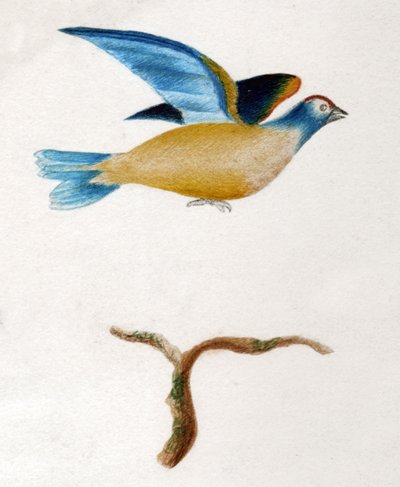 Turtle dove by . .