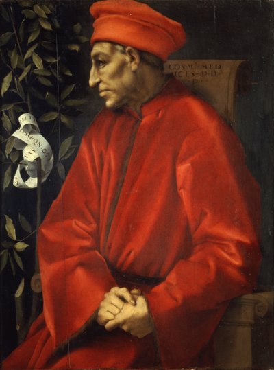 Portrait of Cosimo the Elder by Pontormo