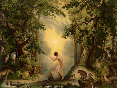 The Creation of Adam by Johann Elias Ridinger or Riedinger