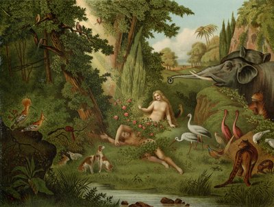 The Creation of Eve by Johann Elias Ridinger or Riedinger