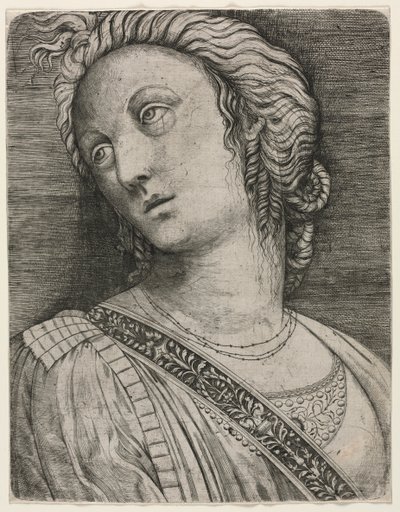 Bust of a Woman by attributed to Jacopo de