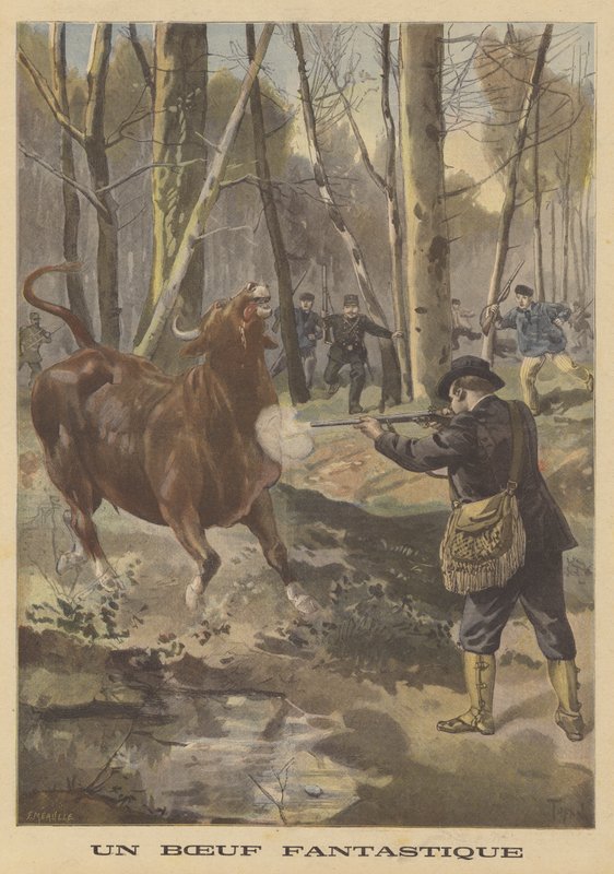 Shooting of an Escaped Bull by French School