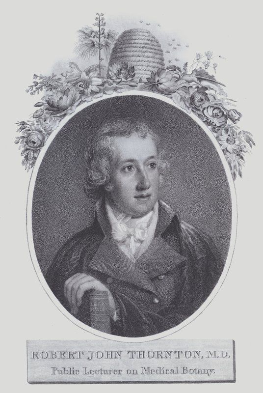 Robert John Thornton (litho) by (after) English School