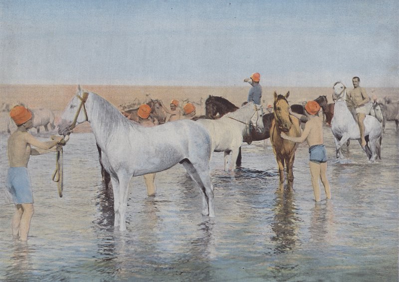 Sea Bathing by (after) French Photographer