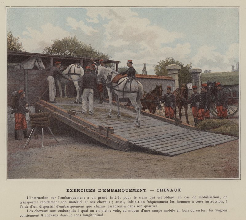 Embarkation Exercises, Horses by (after) French Photographer