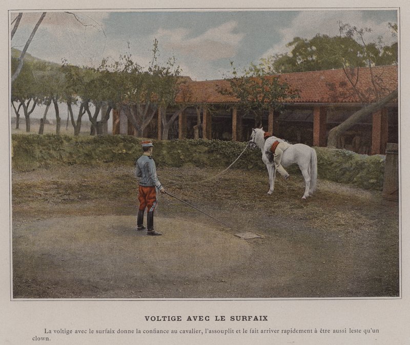 Vaulting with the Surcingle by (after) French Photographer