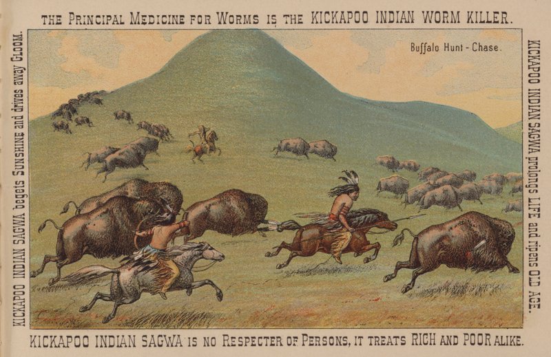 Native Americans Hunting Buffalo on Horseback by American School