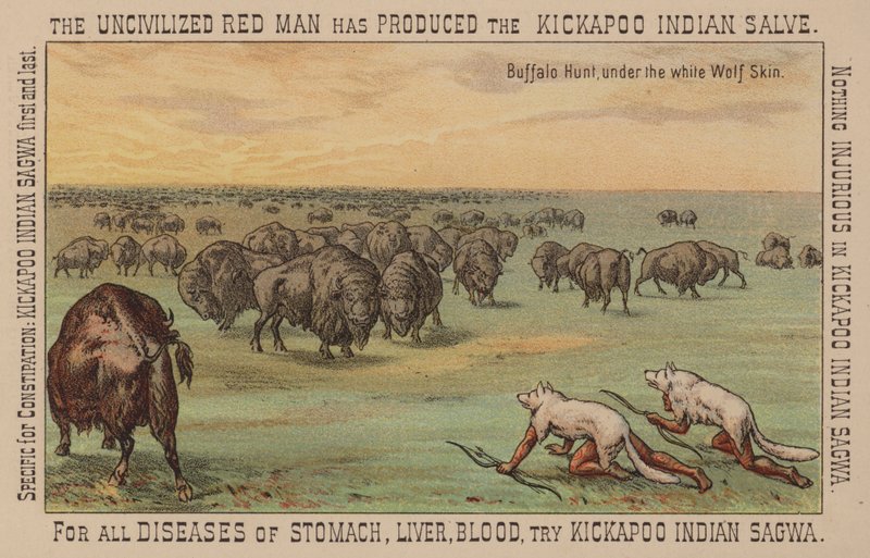 Native Americans Wearing White Wolfskins Hunting Buffalo by American School