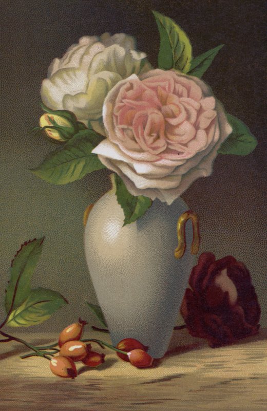 Camellias by English School