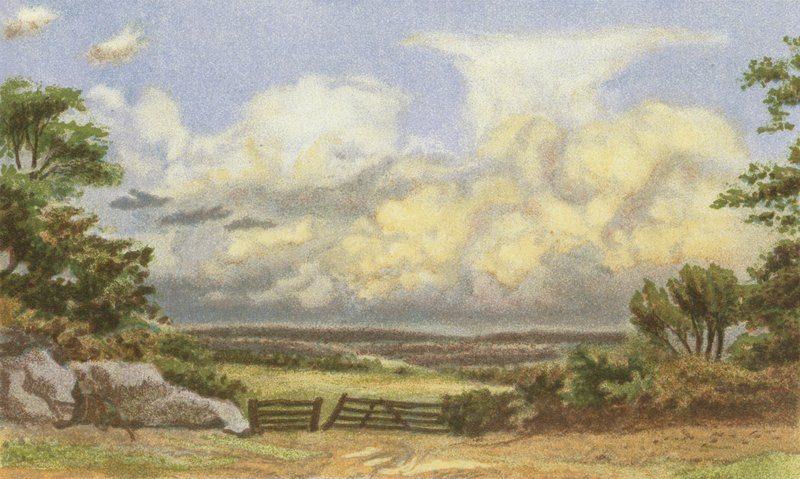 Clouds, Cumulo-Nimbus by English School