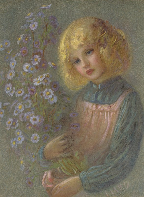 Michaelmas Daisies by English School