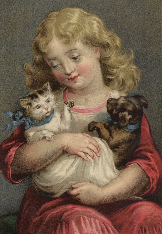 My Pets by English School