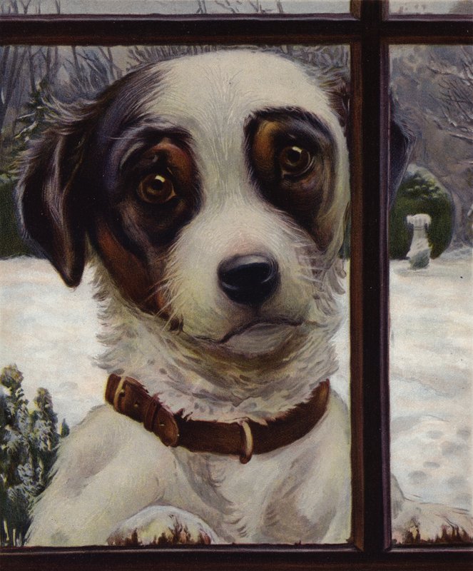 Please let me in! by English School