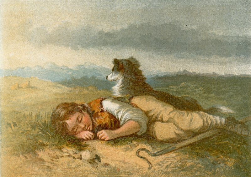 The Shepherd Boy by English School