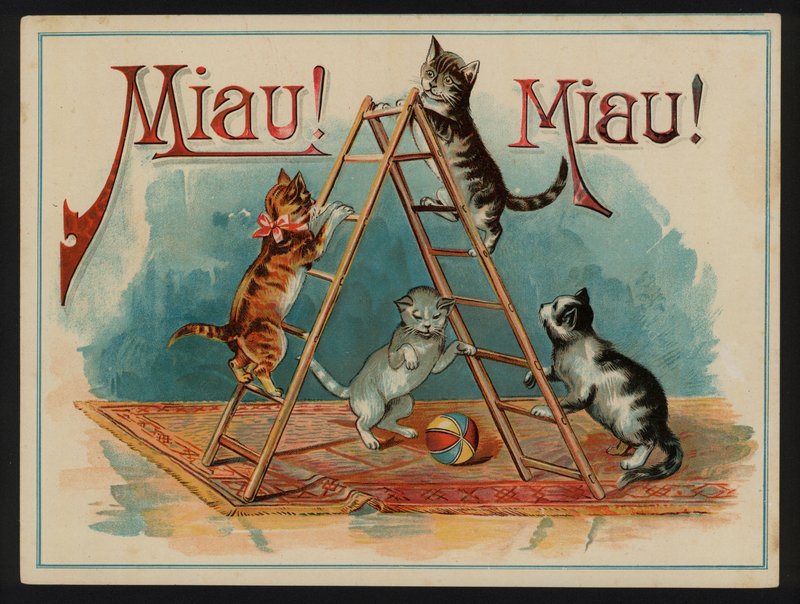 Meow! Meow! by European School