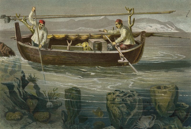 Sponge Fishing on the Dalmatian Coast by European School