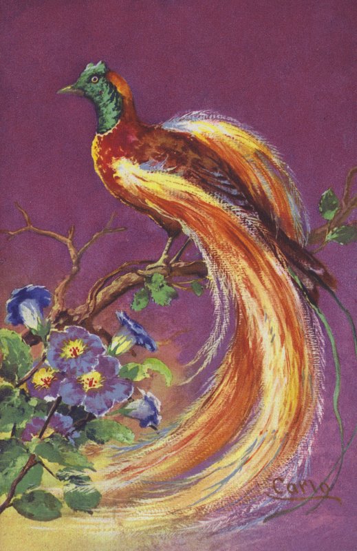 Tropical or Exotic Bird by European School
