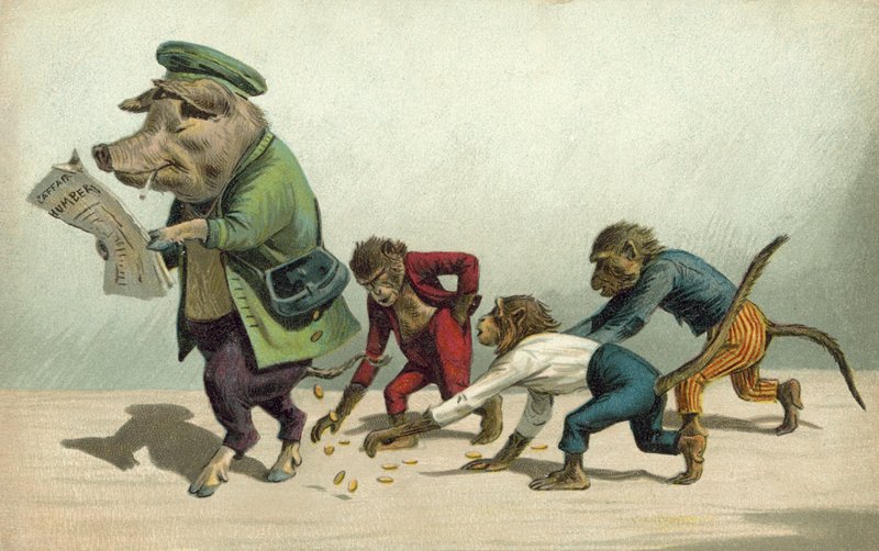 Monkeys Gathering Coins Dropped by a Pig by French Photographer