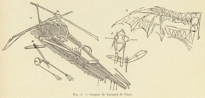 Sketches by Leonardo da Vinci by French School