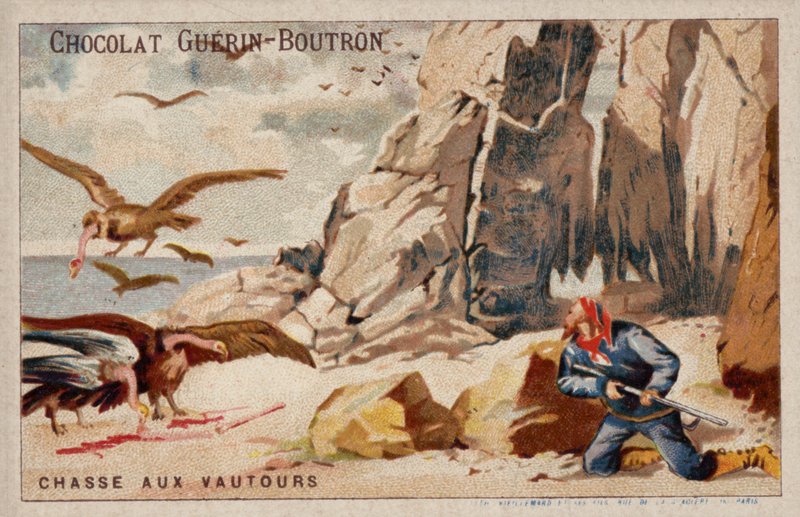 Hunting Vultures by French School