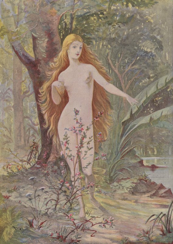 The Birth of Woman by French School