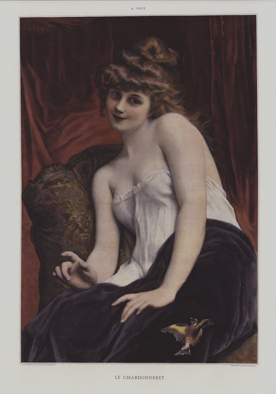 The Goldfinch by French School