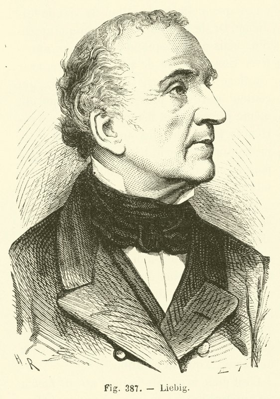 Liebig by French School
