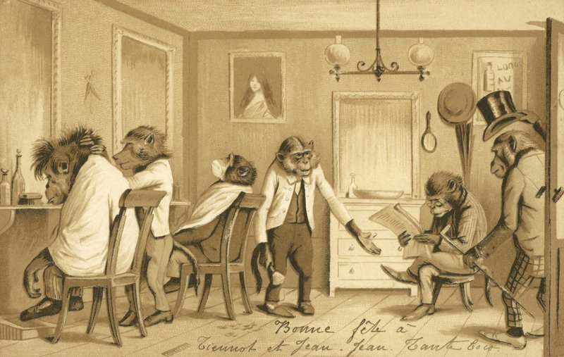 Monkey Running a Barber Shop by French School