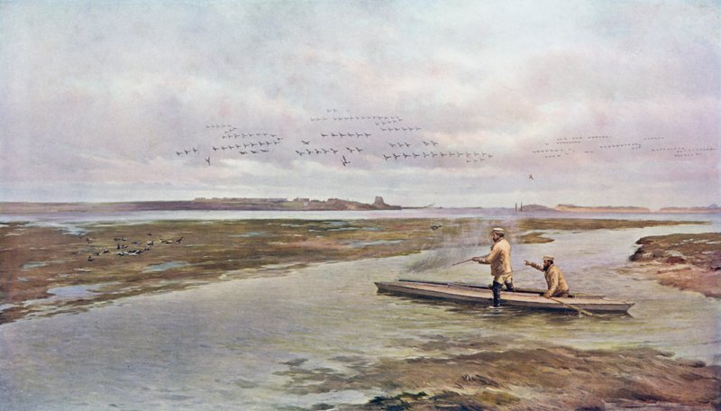 After a Shot at Brent Geese by A. de Bree